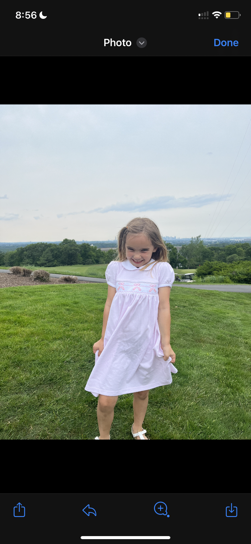 Tiny dancer smocked dress