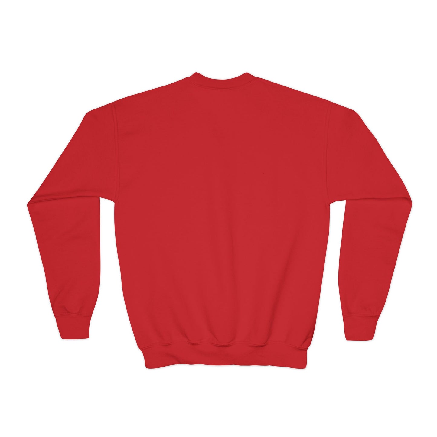 Big kids ACK Signal Flag Crewneck Sweatshirt