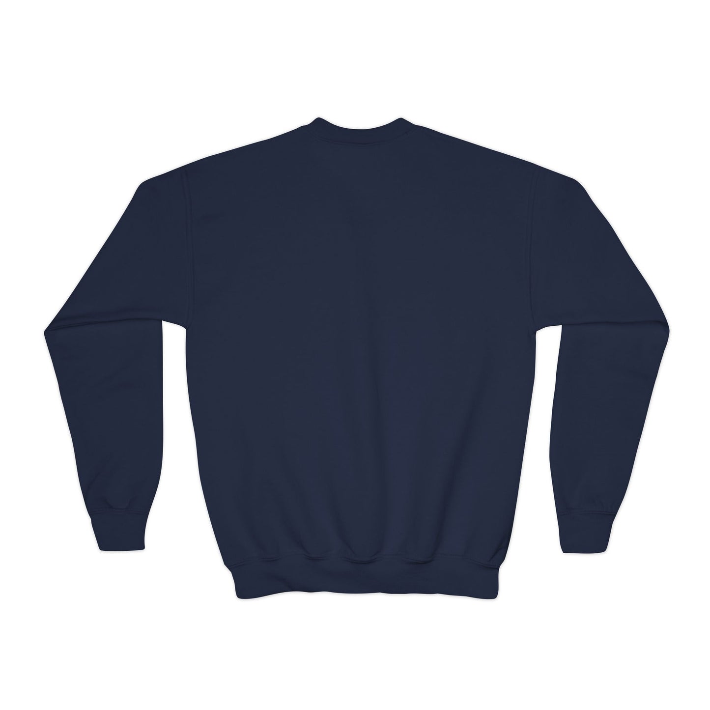 Big kids ACK Signal Flag Crewneck Sweatshirt